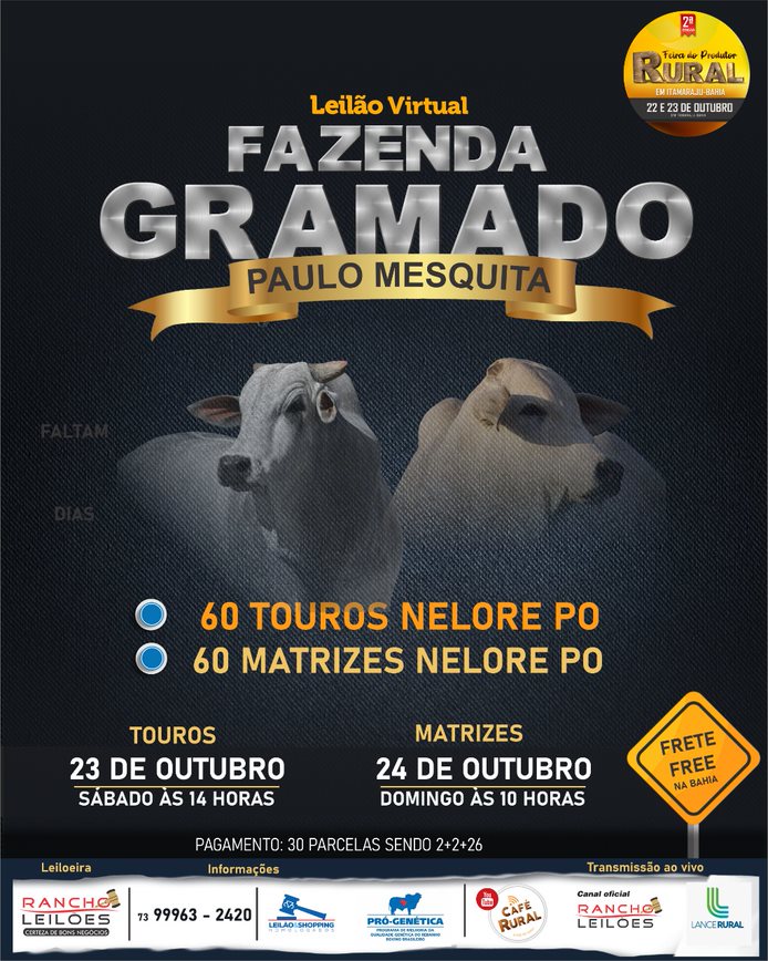 LEILÃO VIRTUAL FAZENDA GRAMADO - PAULO MESQUITA 2022 - erural